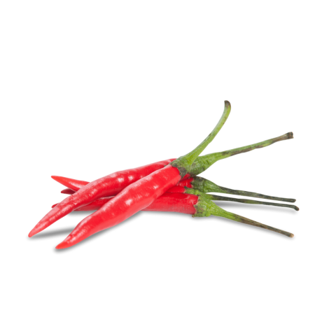 Kleine scharfe Chili-Schoten