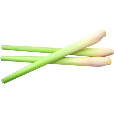 HERBEX  Zitronengras