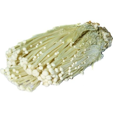 Enoki Pilz 100g